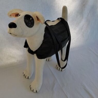 Illustration du profil de Waj