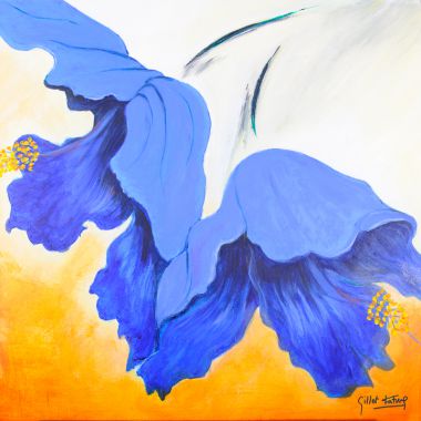 Illustration du profil de Fatima gillet