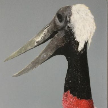 Illustration du profil de Ranou Kadi