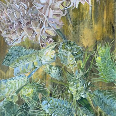 Illustration du profil de Anissa Benelkadi