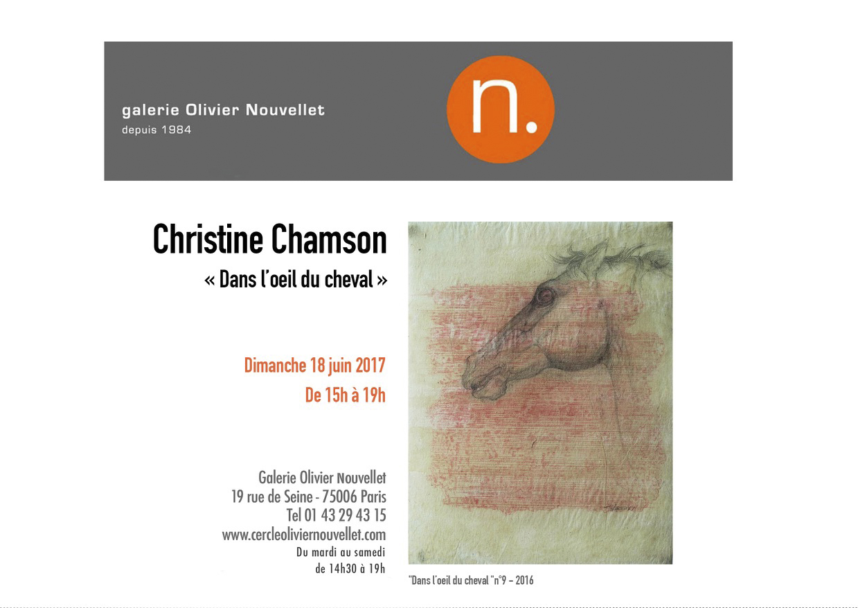 exposition Christine Chamson ''Dans l'oeil du cheval'' galerie Olivier Nouvellet