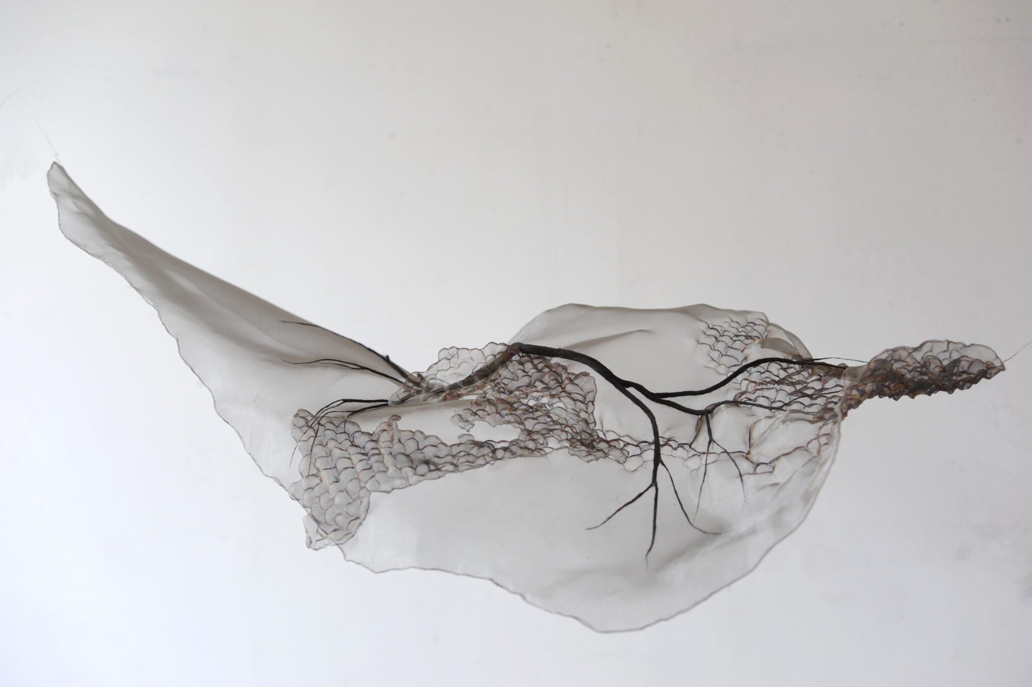 Exposition Anne Laval