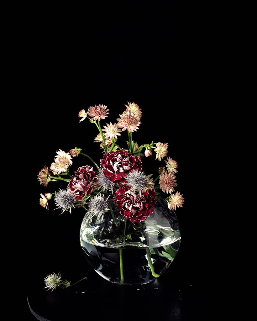 MEMENTO MORI