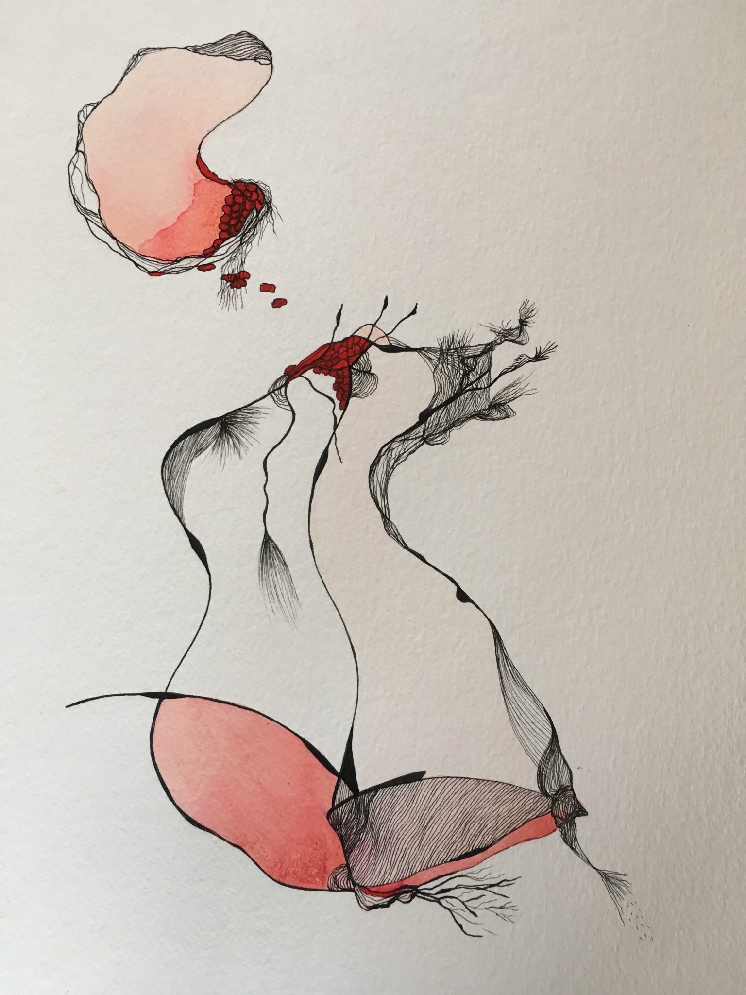 dessin-19