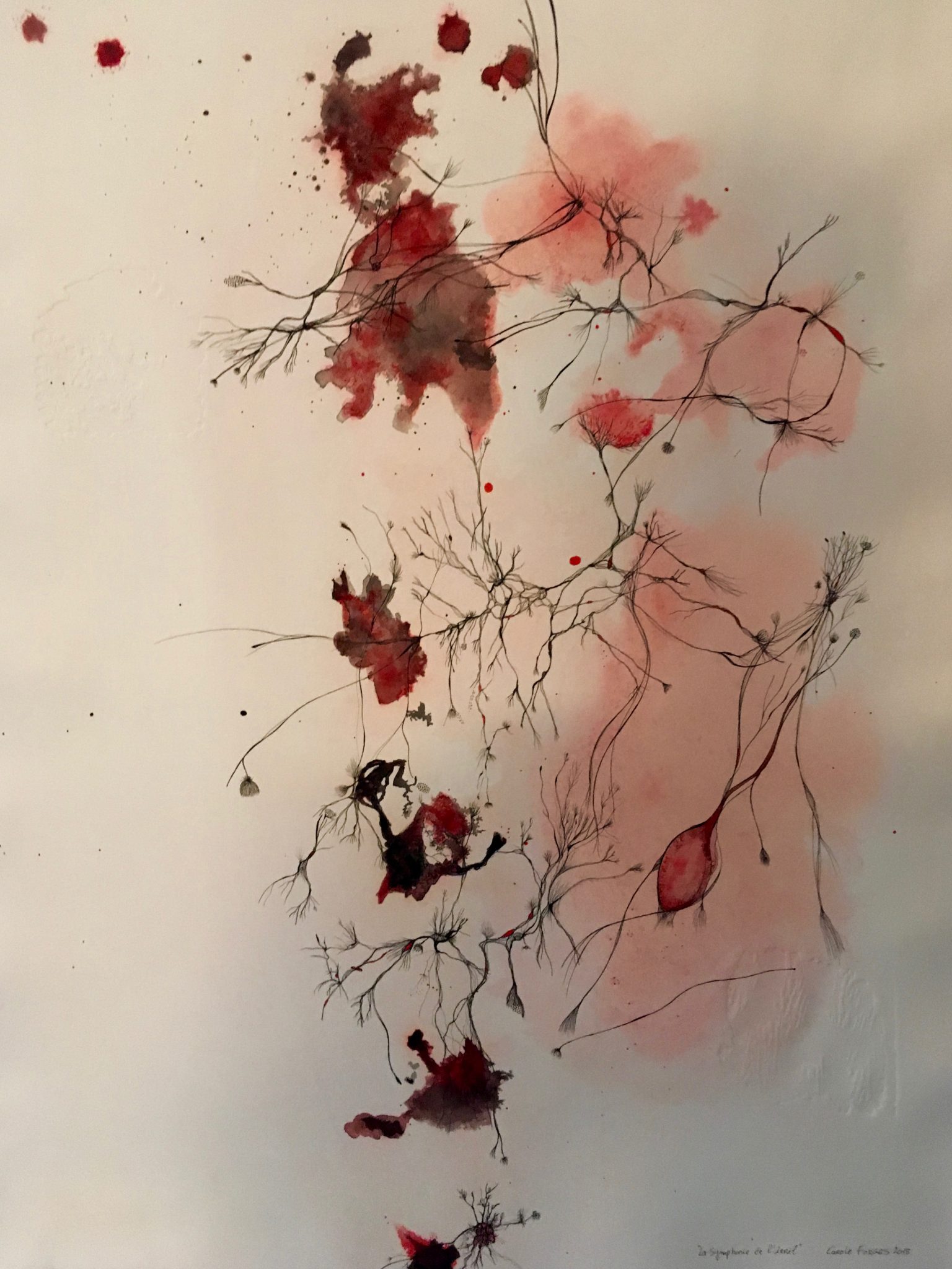 dessin8