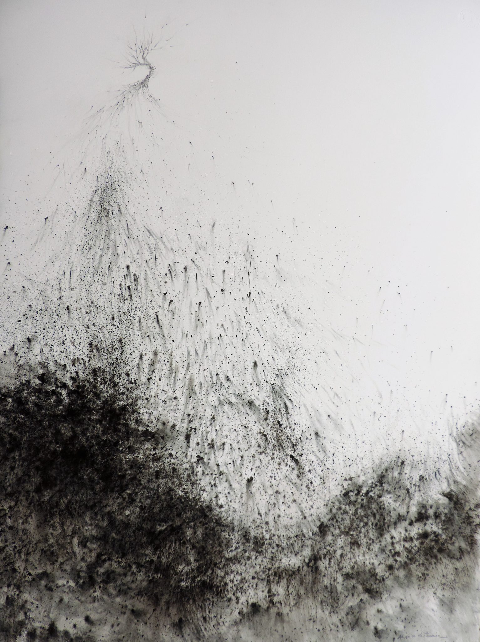 arbre-naissance-1-56x76-cm-1100-euros