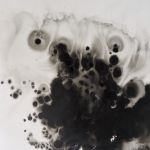 Graines 2 56x76 cm