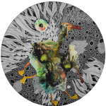Anatidae