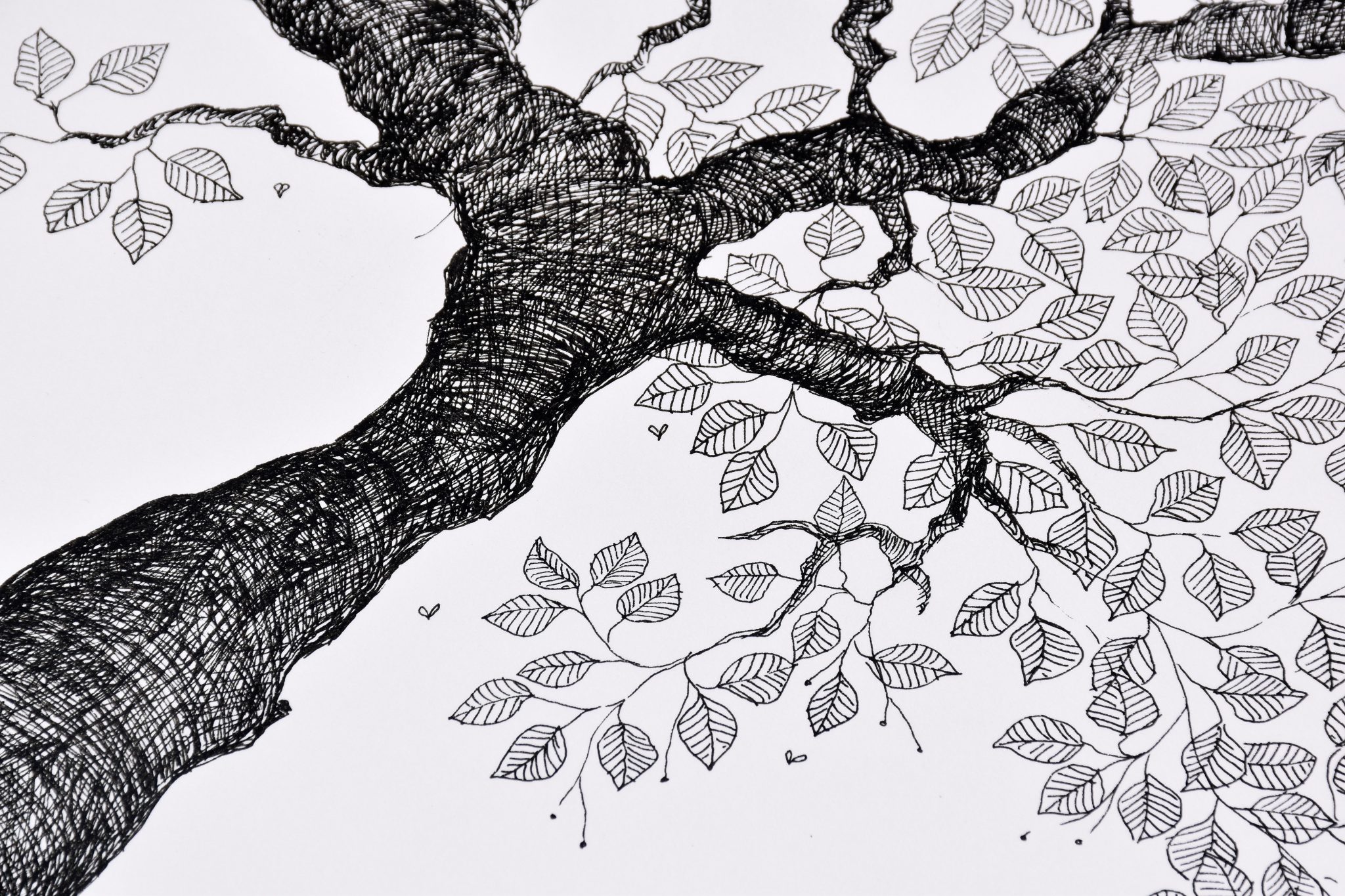 arbor-1