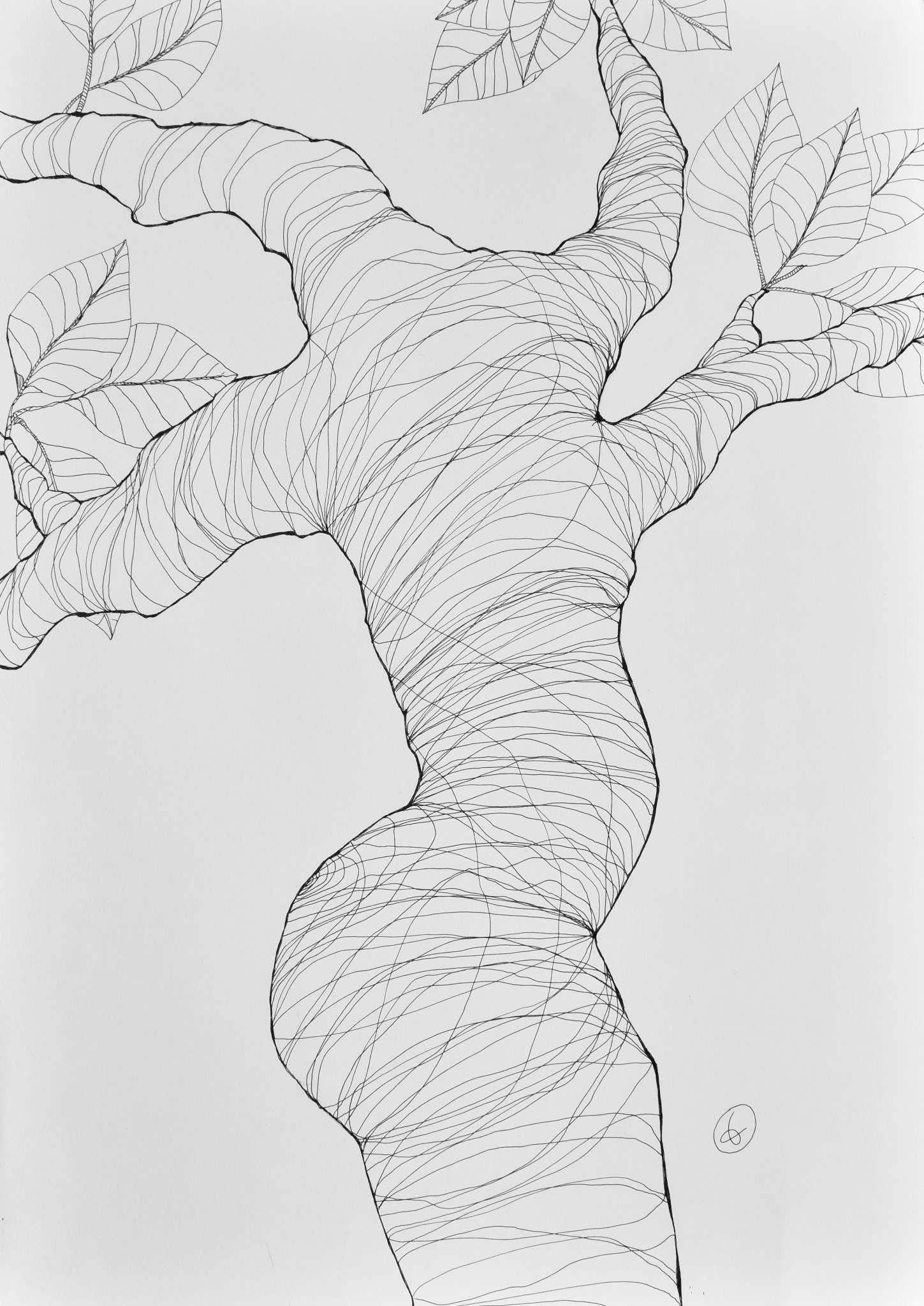 arbor-4
