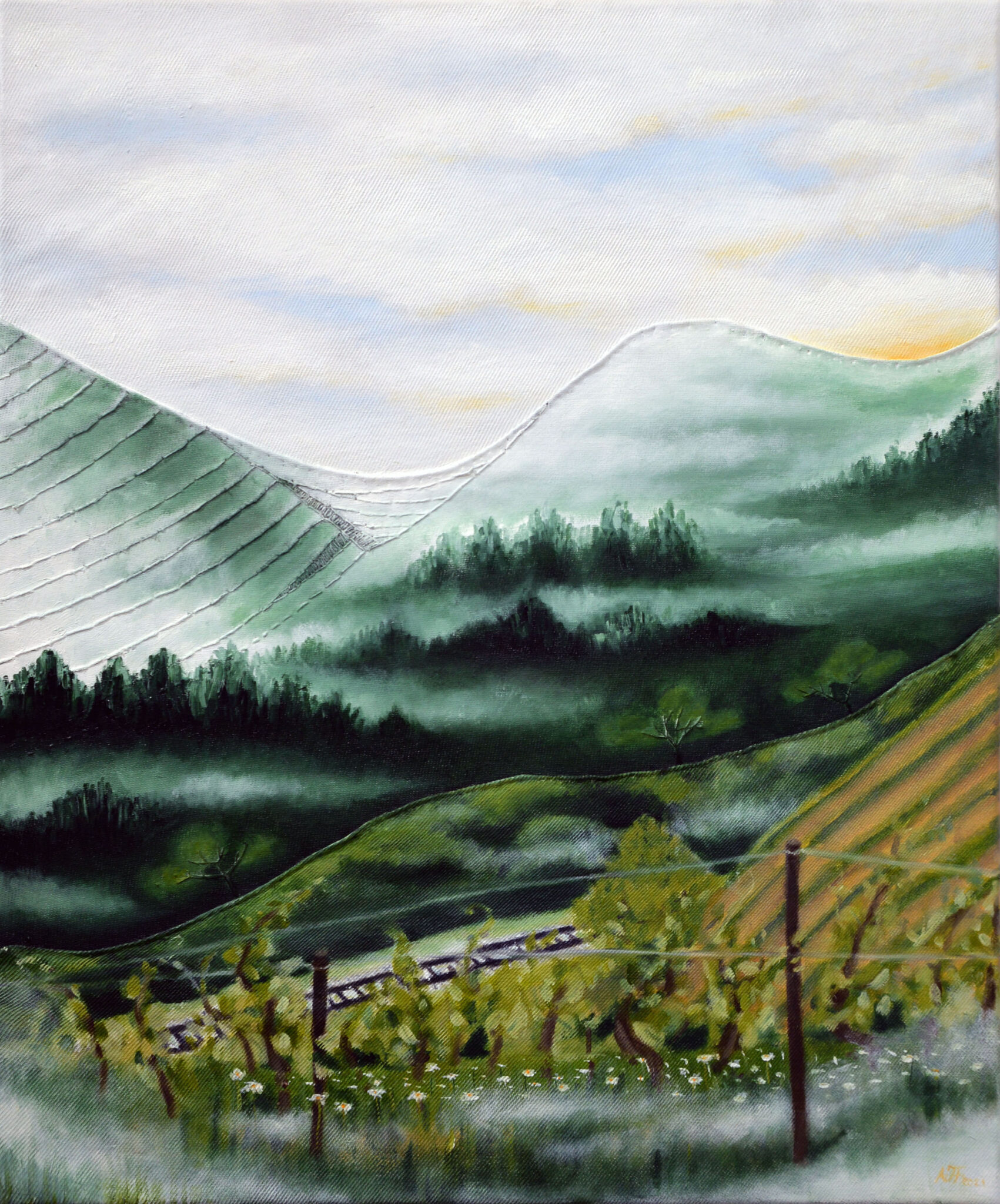 brouillard-du-matin-2