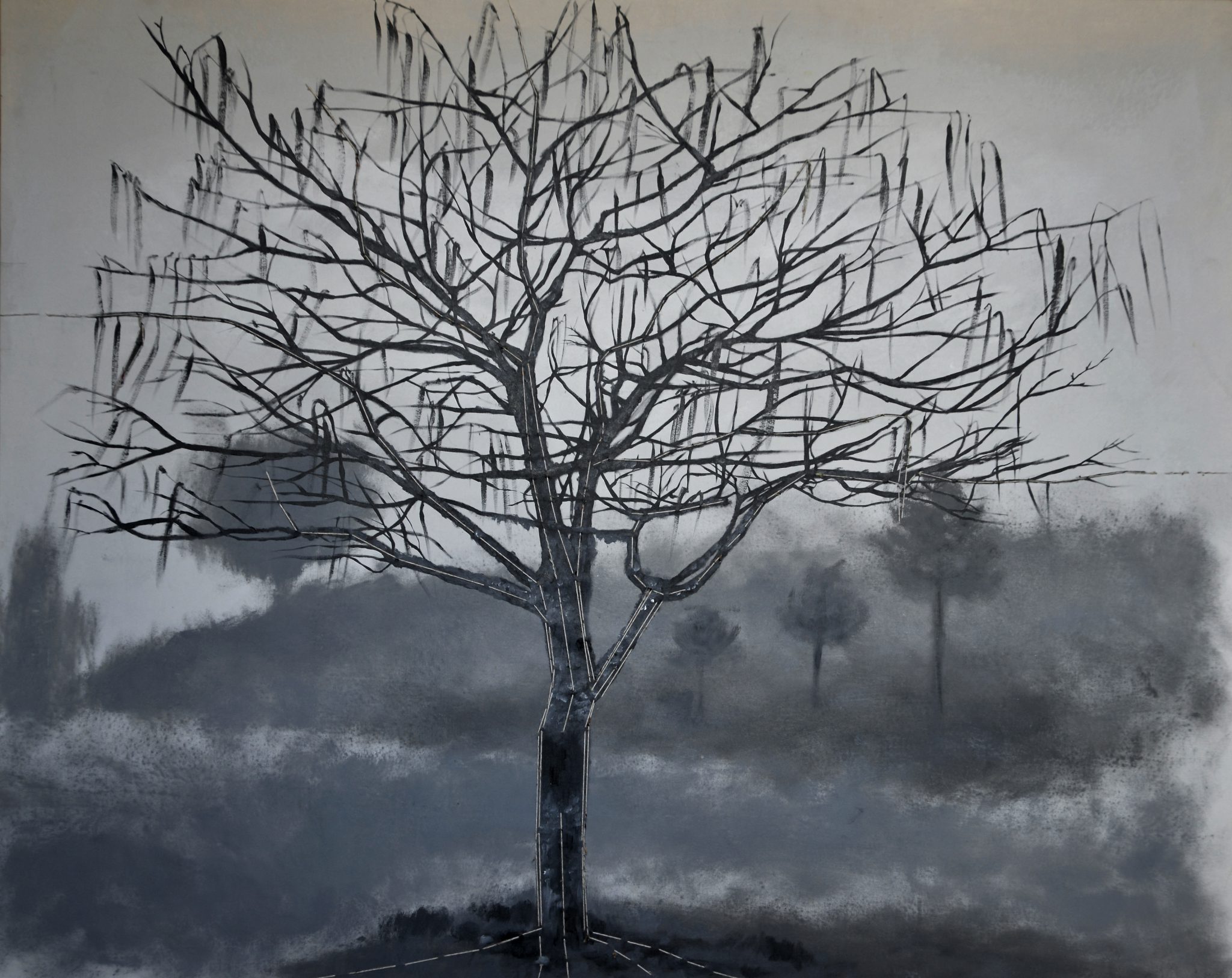 serie-por-ma-terre-natale-3