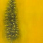 Jaune, Ming