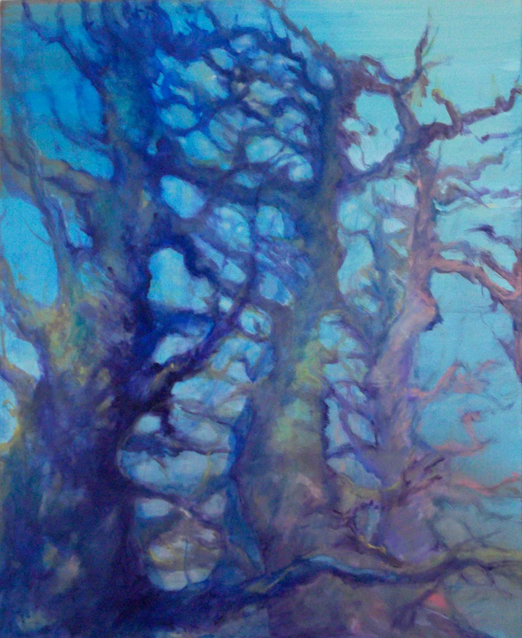 arbres-2