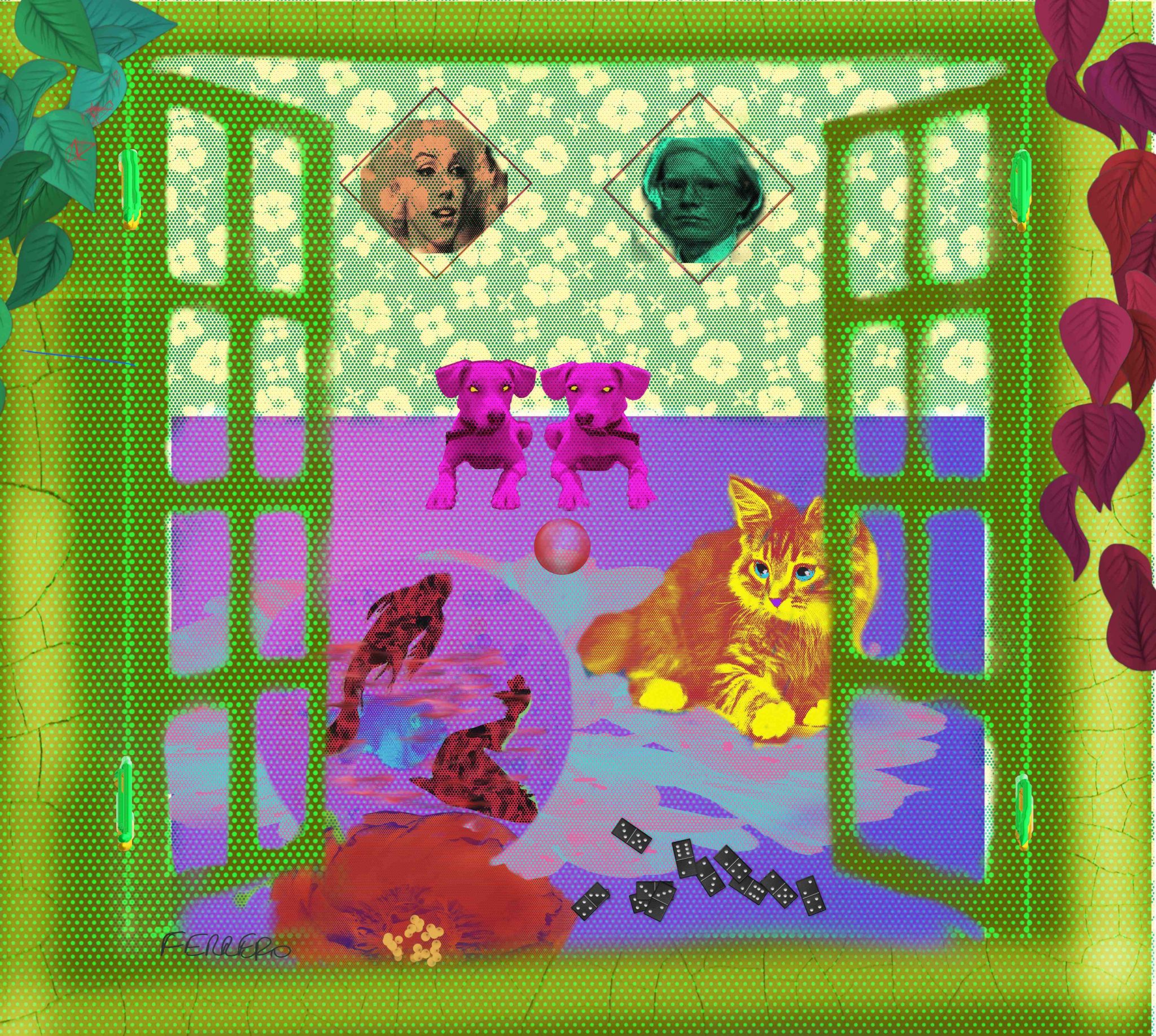 aquarium-fin