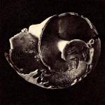 EUSPIRA CATENA I