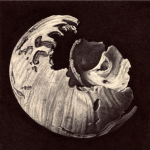 EUSPIRA CATENA II
