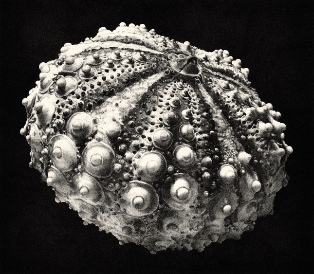 test-doursin