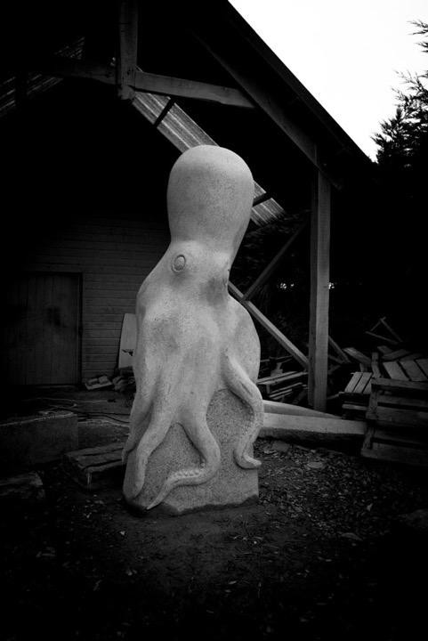 octopus-2