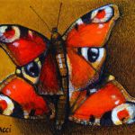 Papillons par Giorgio BRUNACCI