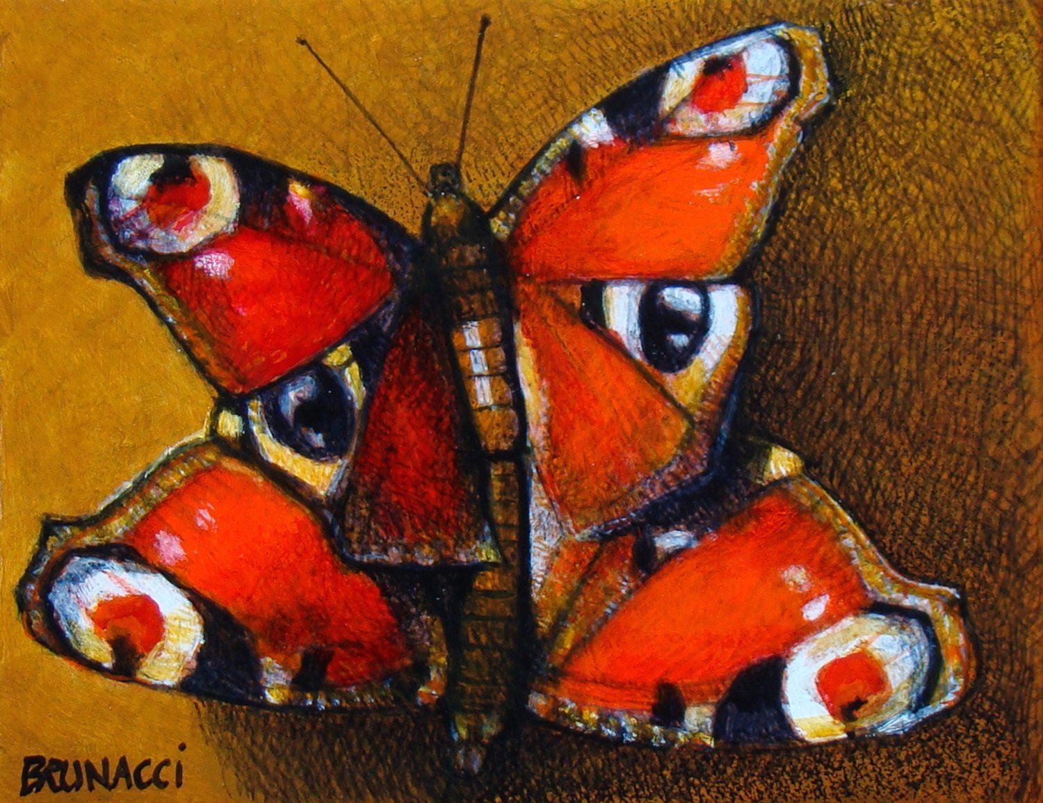 papillons-2