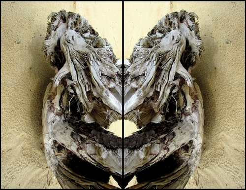 face-a-face-4