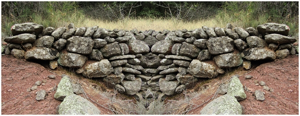 mur-sym-2-octon