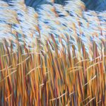 Herbes Hautes