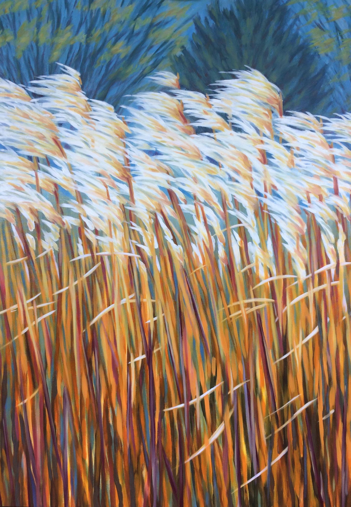 herbes-hautes