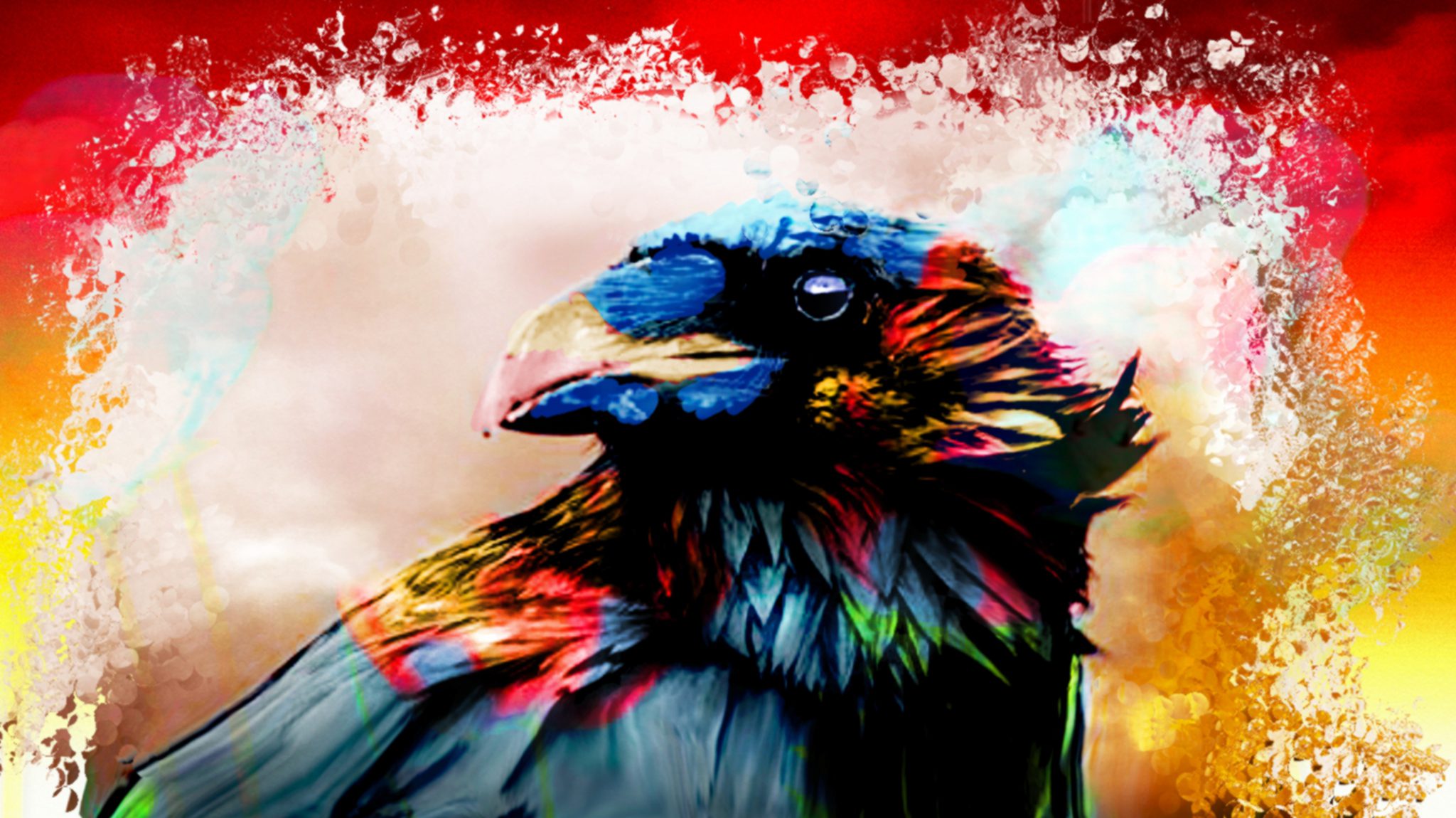 corbeau-3