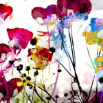 Fleurs des champs