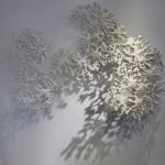 Lichens en suspension