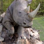 Rhino fini 2 - copie