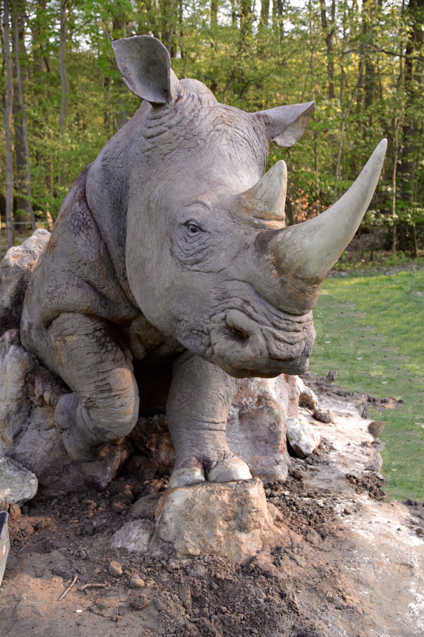 rhino-fini-2-copie