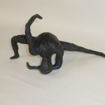 Contorsion