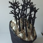 L'échappée belle par Lasserre