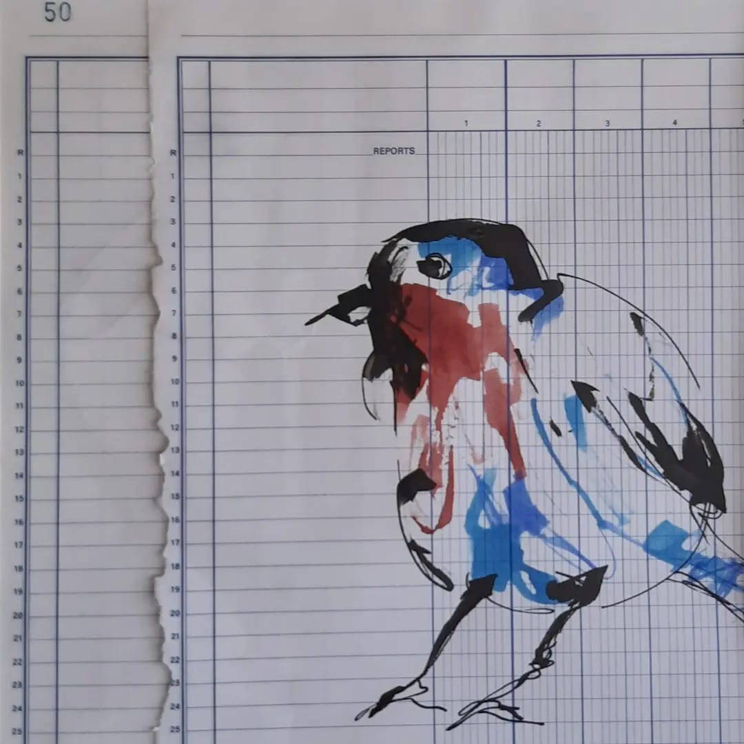 serie-les-oiseau-de-mon-jardin