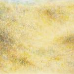 Paysage irradié