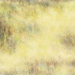 Respiration 1
