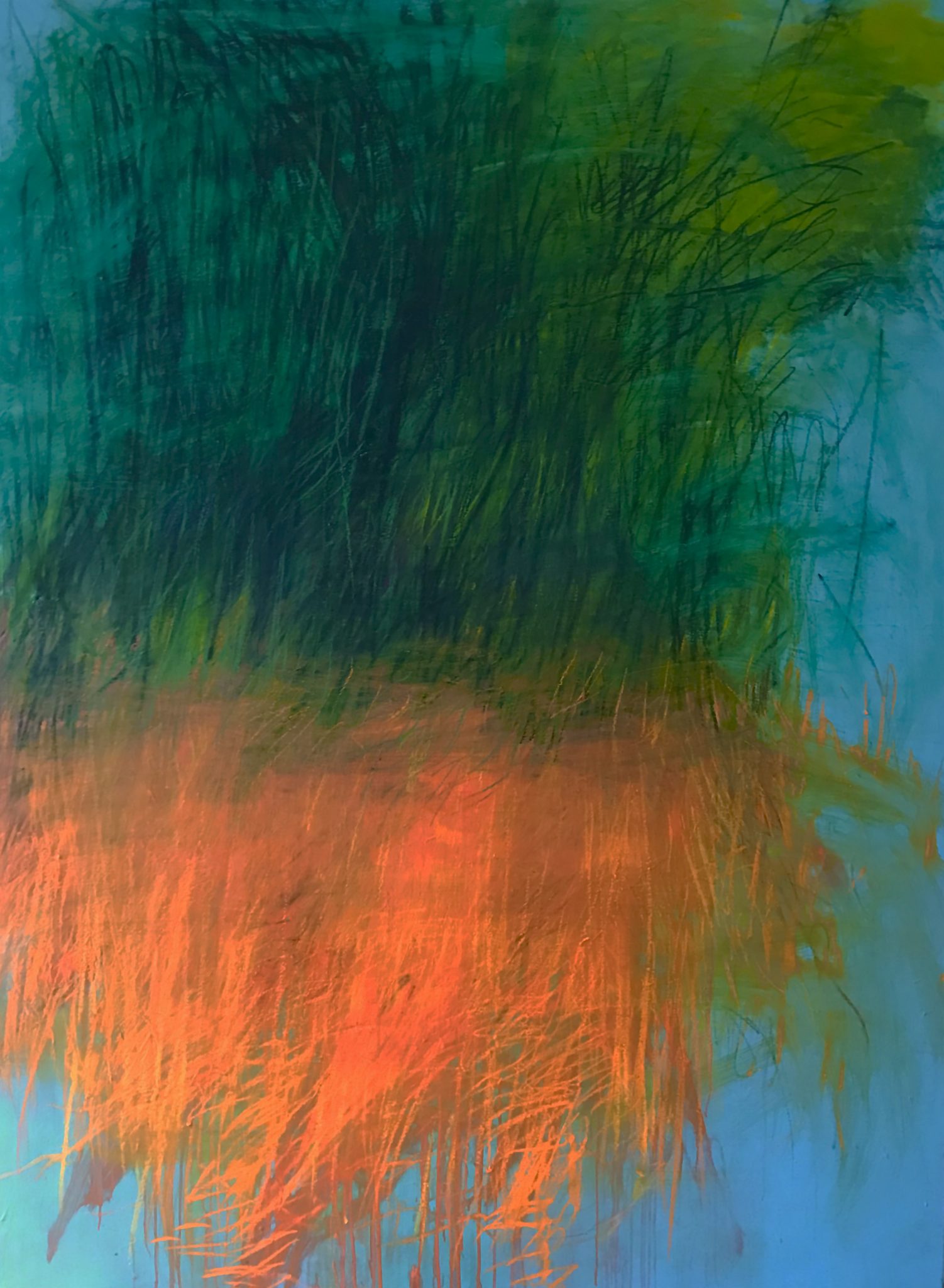 carottes-2