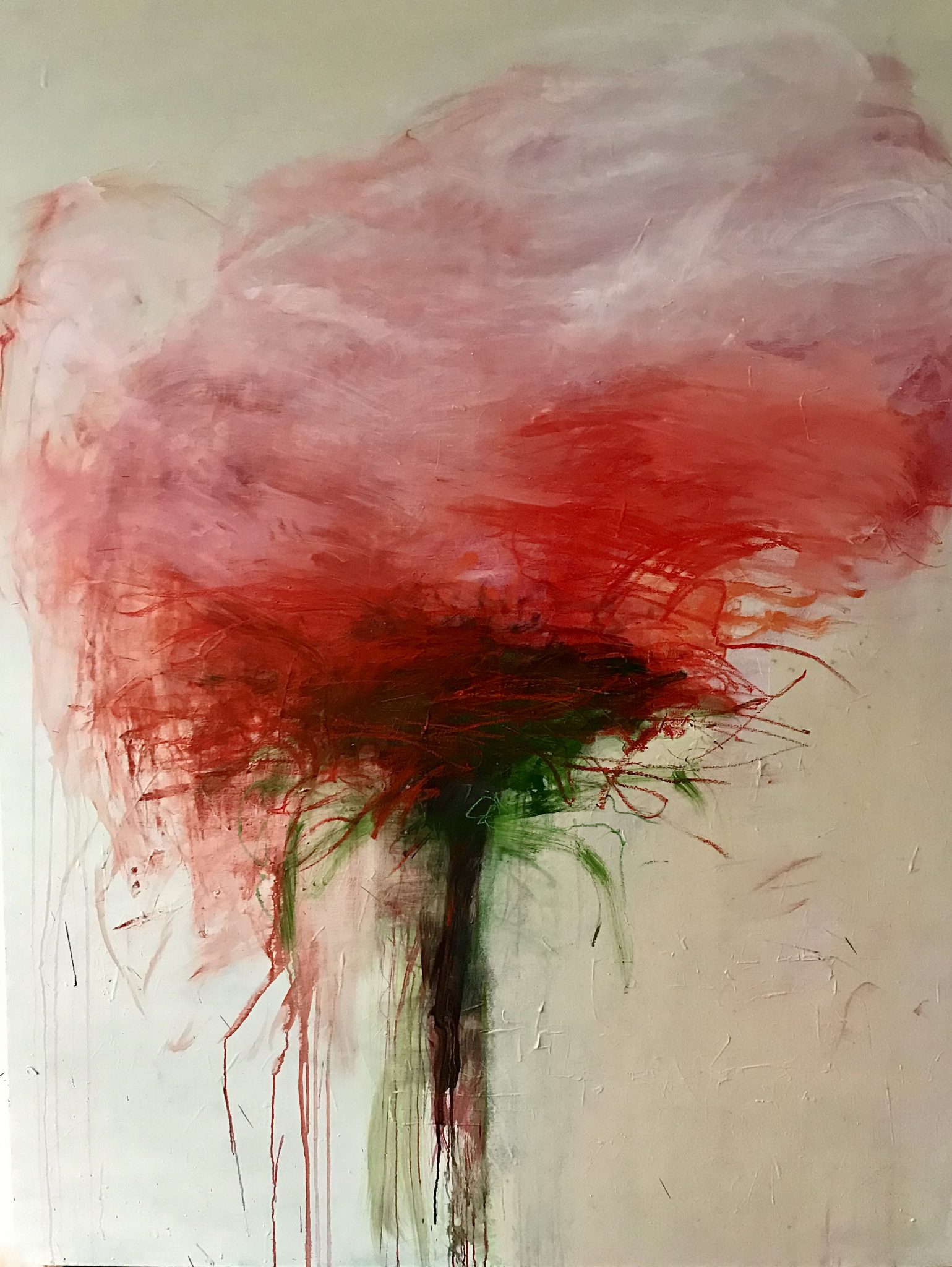 rose-5