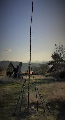 les-bois-noirs-2