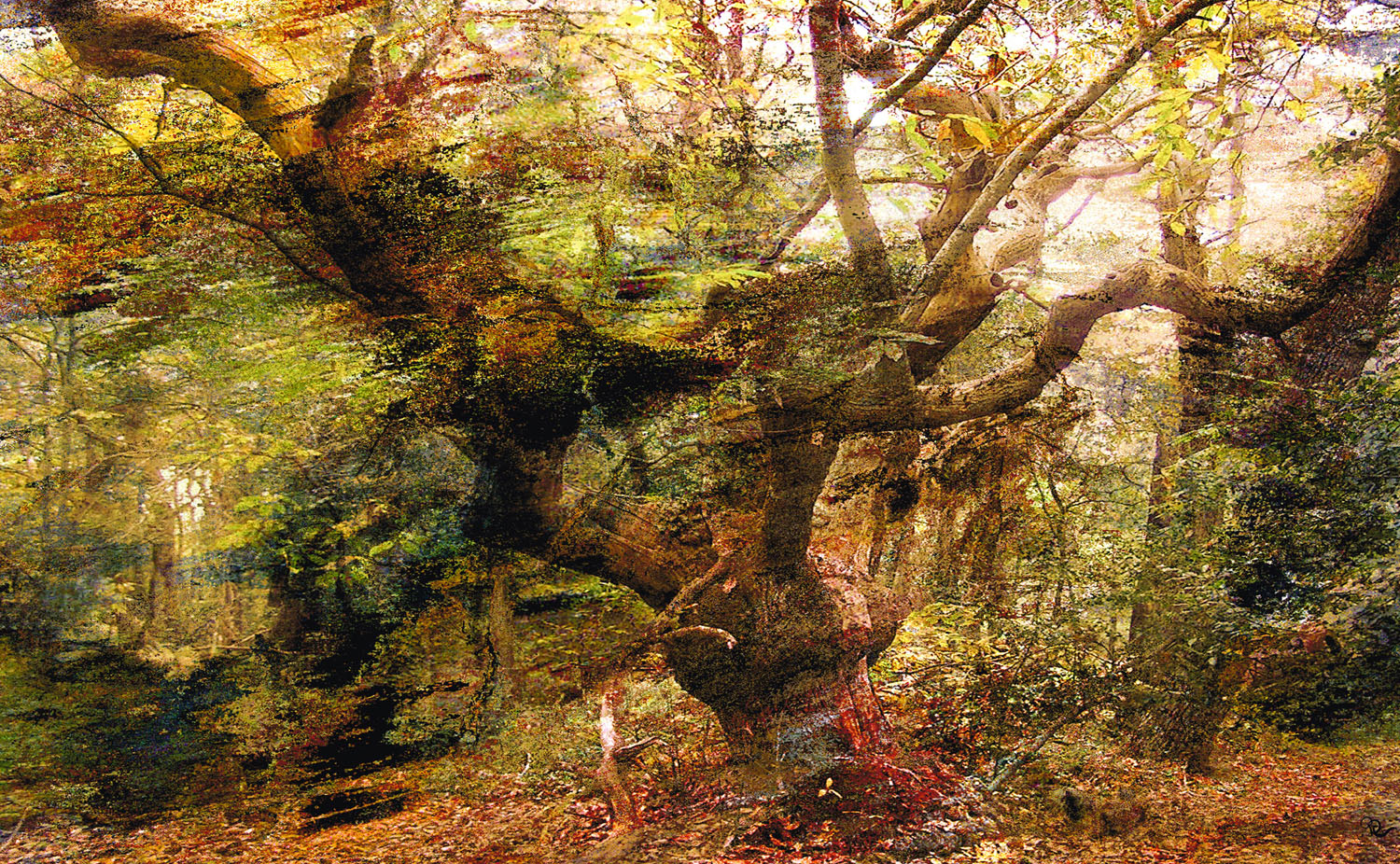 foret