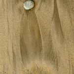Traces 1