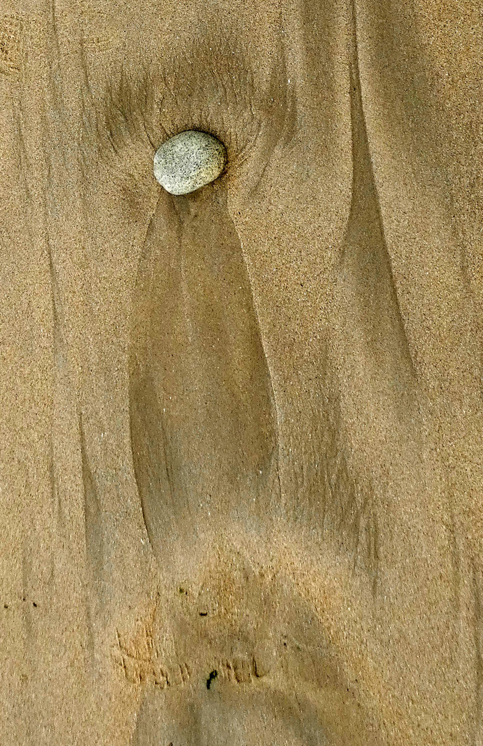 traces-1