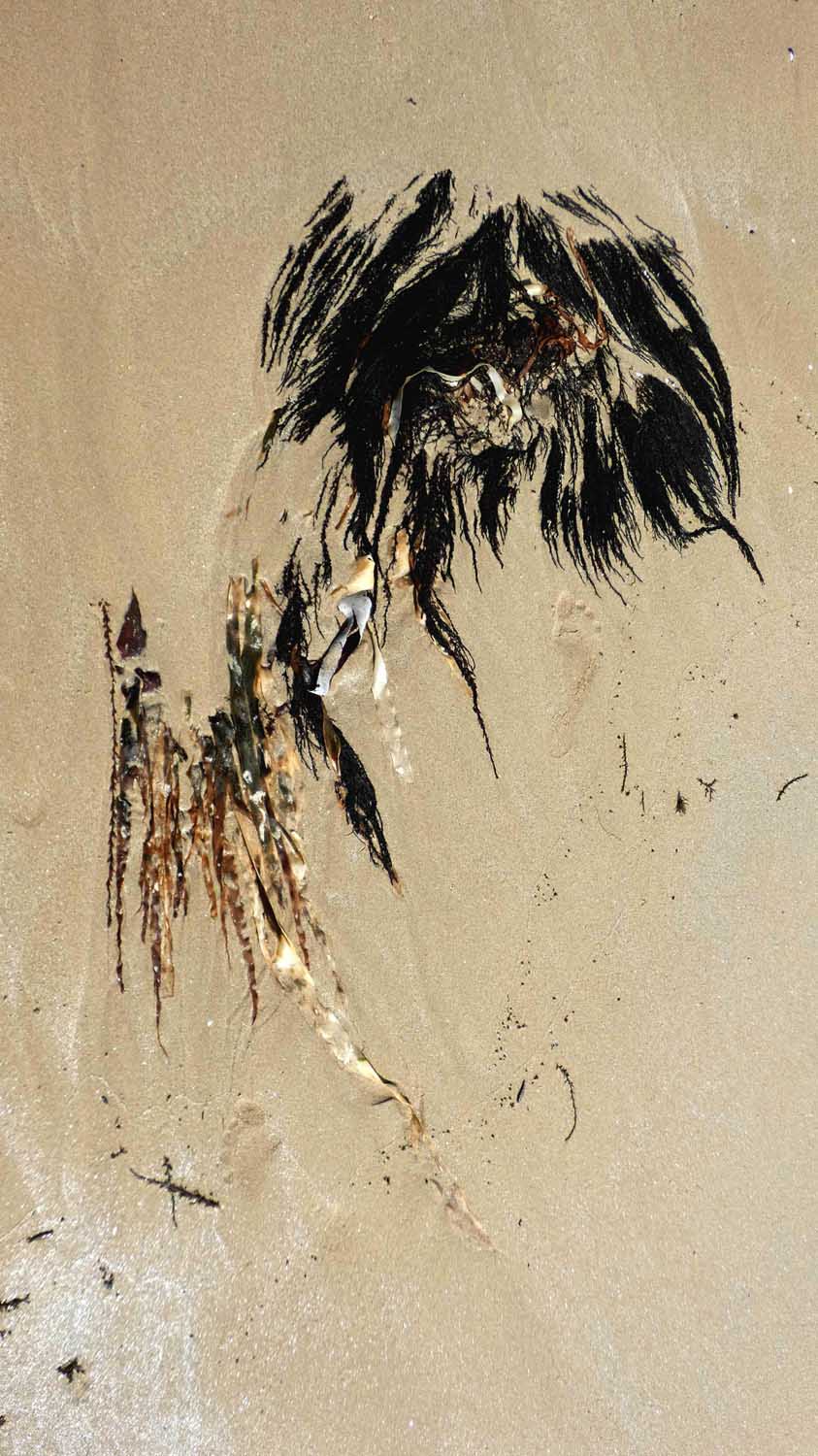 traces-18