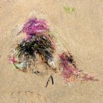 Traces 22