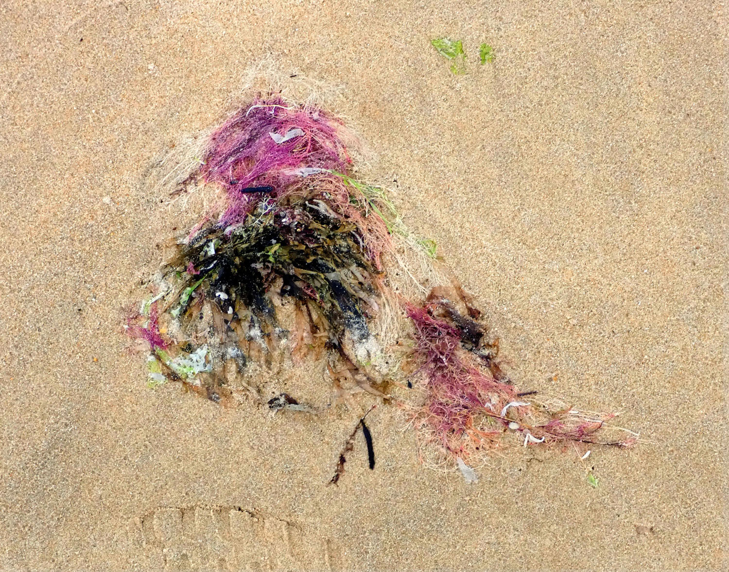 traces-22
