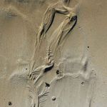 Traces 42