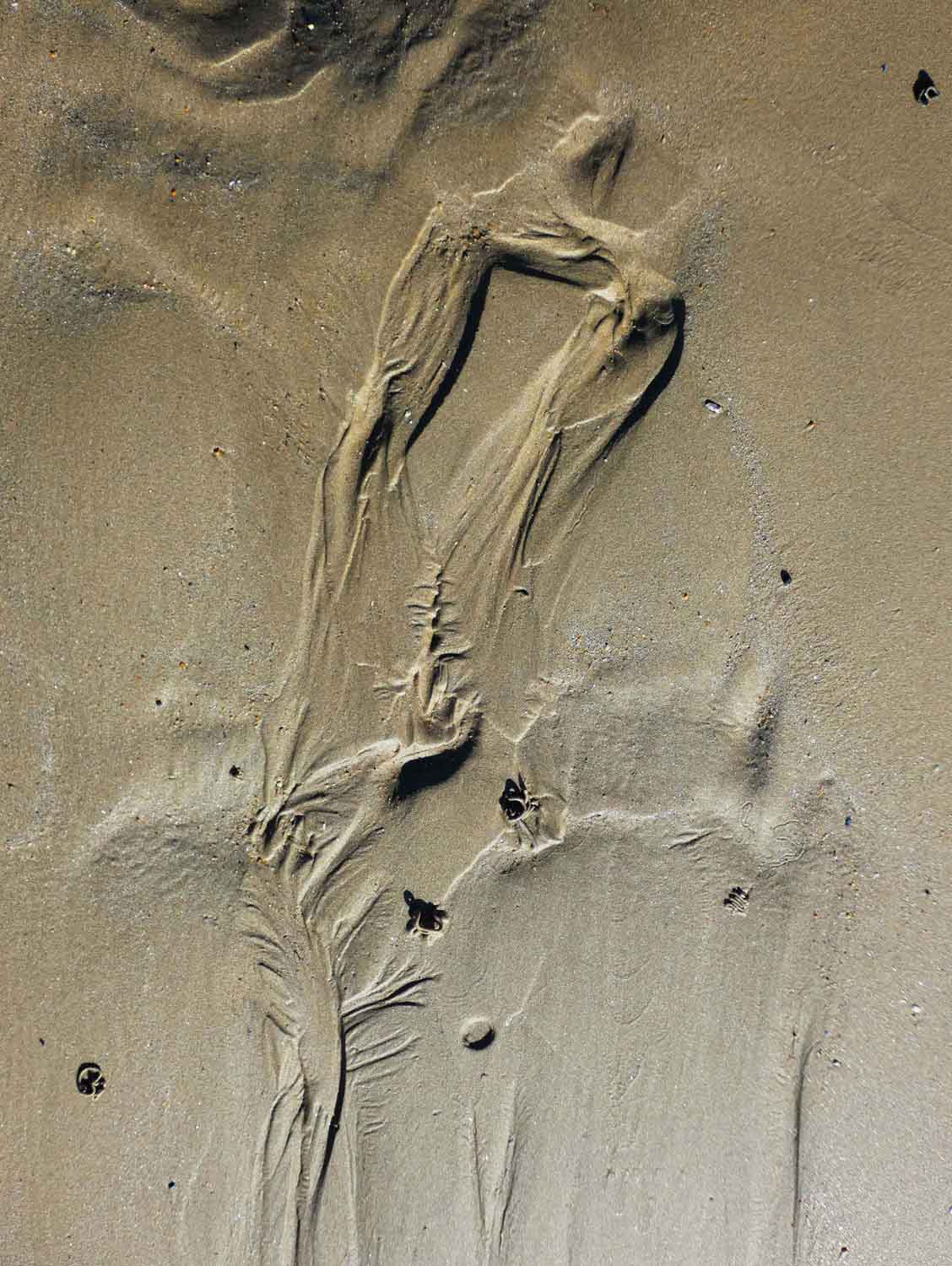 traces-42